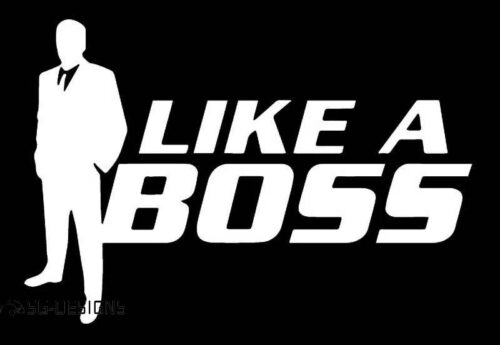 Samolepka LIKE A BOSS - profi nálepka na auto - Image 2